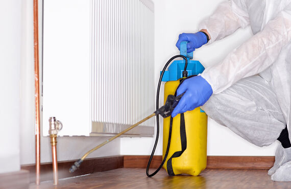 ゴキブリやハチへの対処で地域での豊富な実績を持つ害虫駆除専門業者 | 東京で害虫駆除を専門に行うダイシン消毒