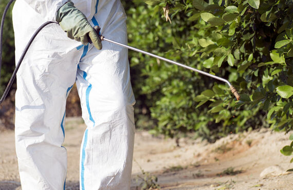 熟練の技術を持ったスタッフが危険なムカデの発生を予防します | 東京で害虫駆除を専門に行うダイシン消毒