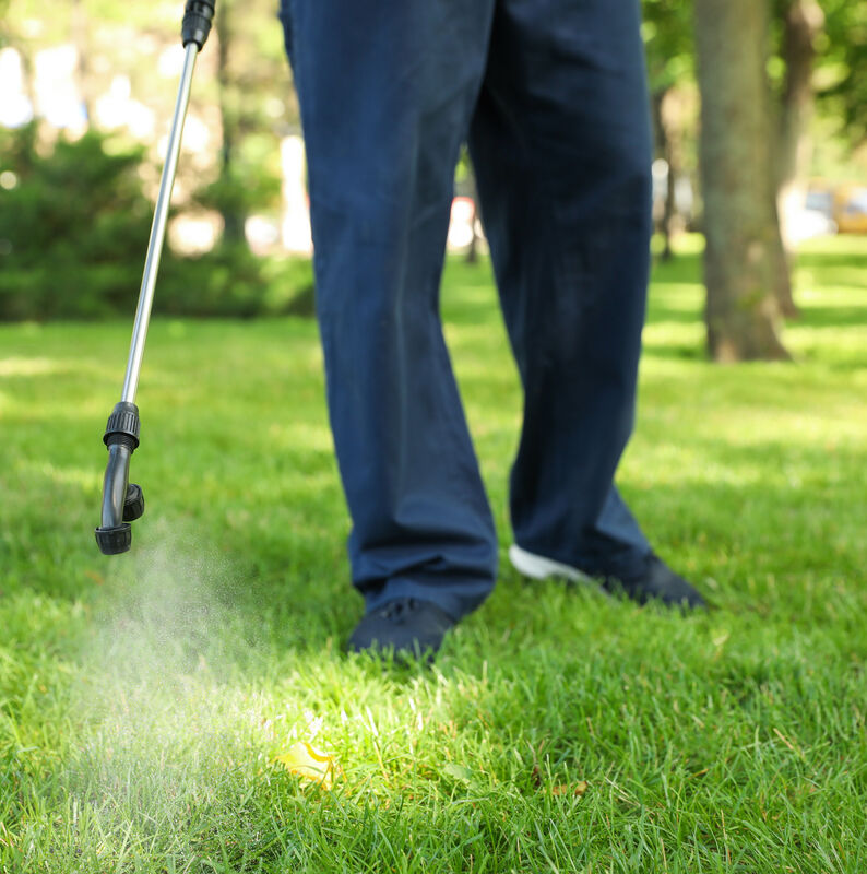 AdobeStock_372845417