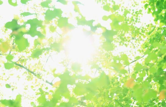 調布市在住でシロアリでお困りの方（ダイシン消毒）