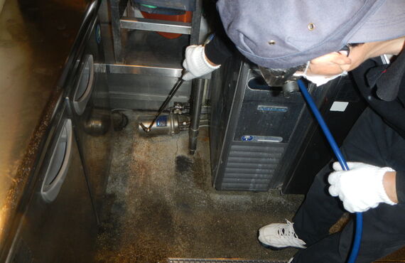 ゴキブリ駆除はダイシン消毒までご連絡下さい！