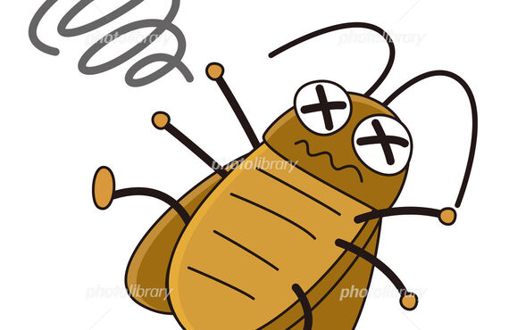 八王子でゴキブリ駆除はお任せ下さい！