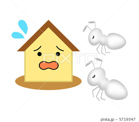 家　シロアリ