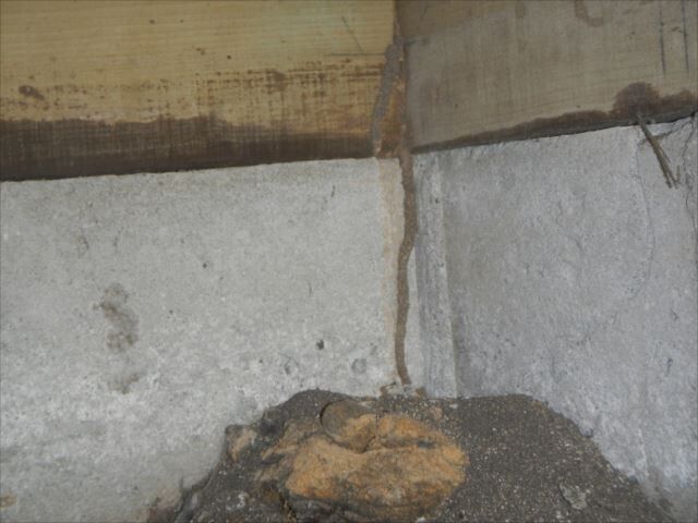 DSCN0248_R