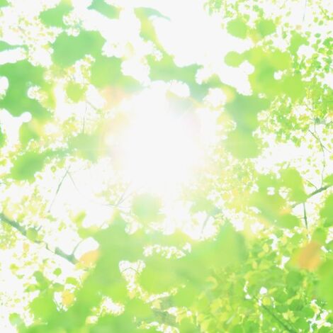 98b42f28abaa397efabf397b5c18a71b_m